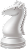 Knight